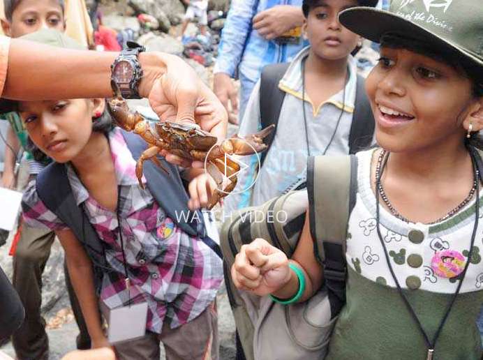 NATURE-AWARENESS-PROGRAM