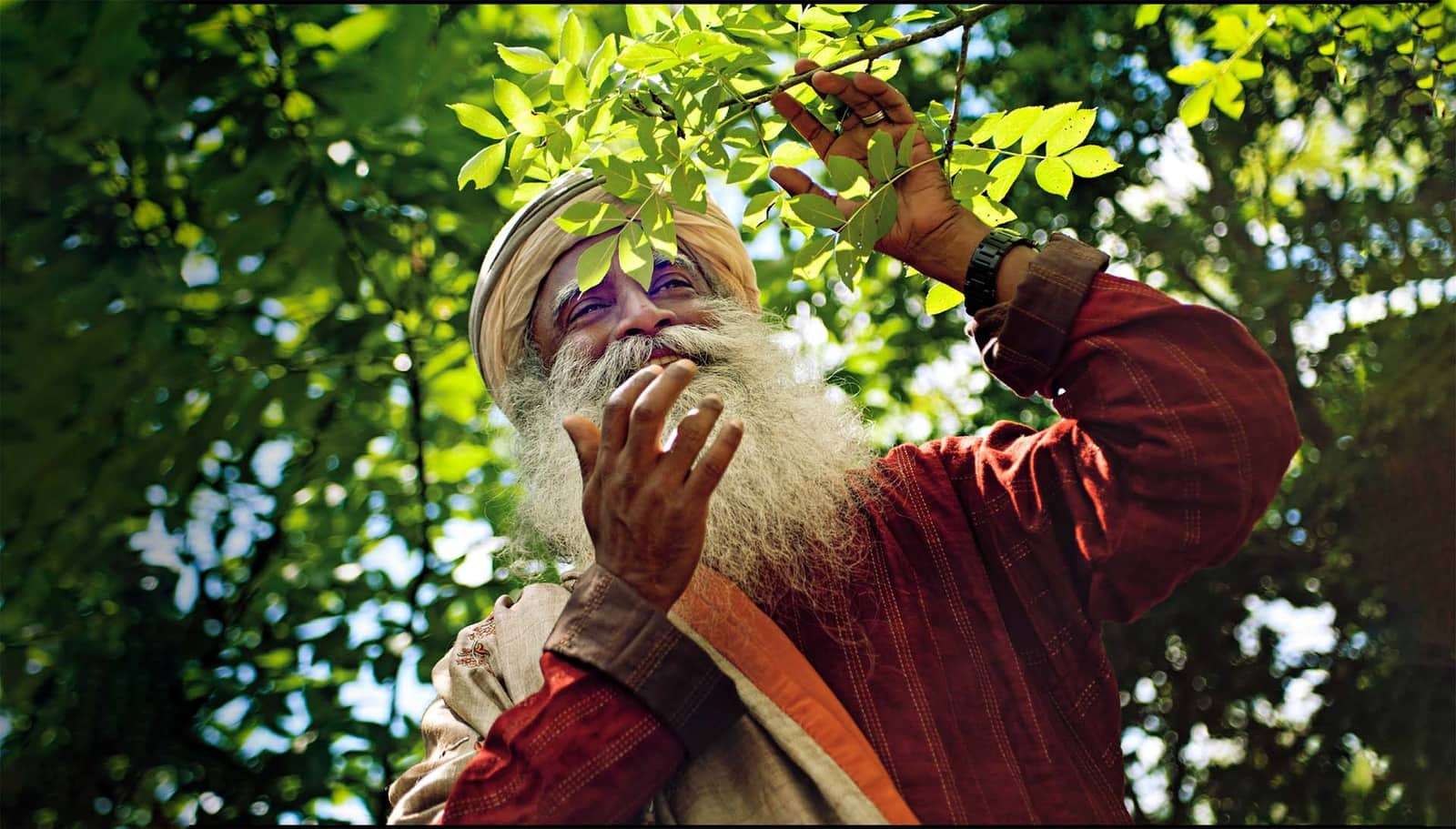 Isha Forest Flower June 2021