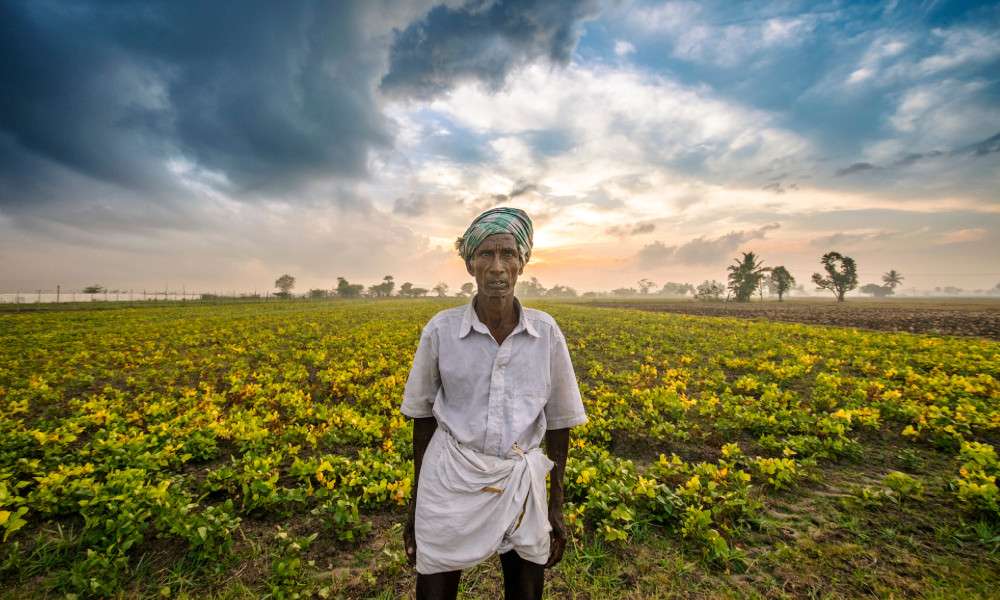 farmers-can-save-tamil-nadu-from-drought-isha-blog-post-farmer-standing