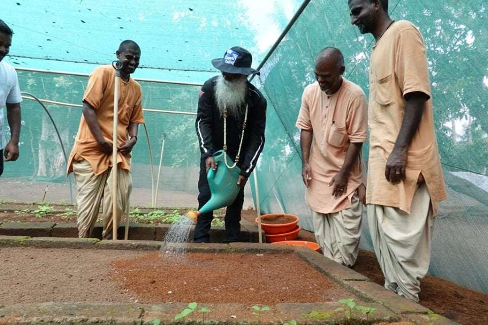 Cauvery Calling Sadhguru plants “seeds of wellbeing” in
